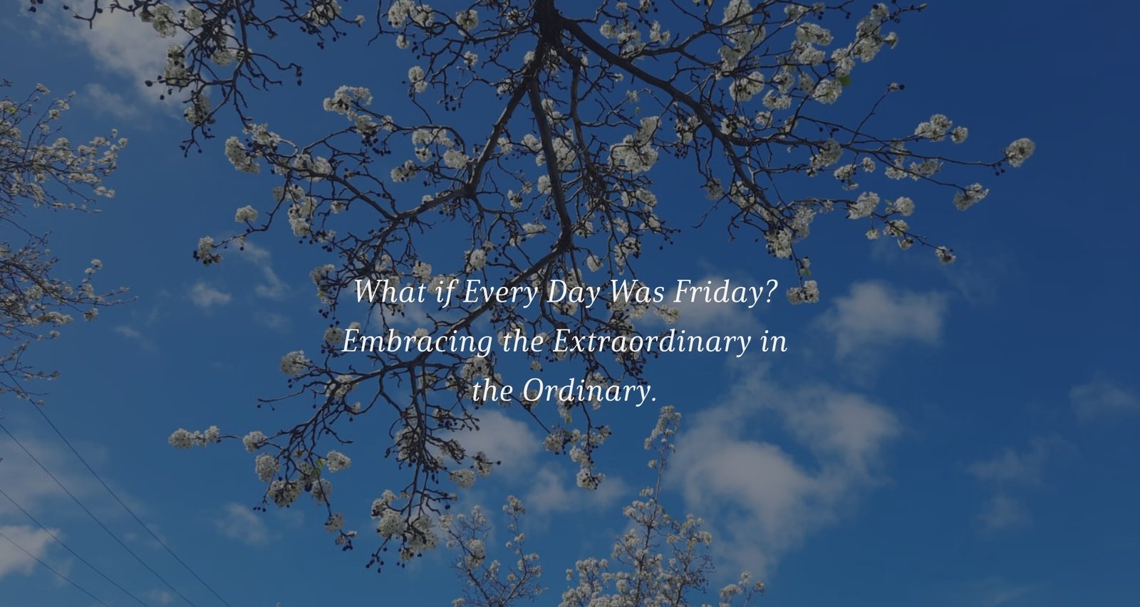 What if Every Day Was Friday?