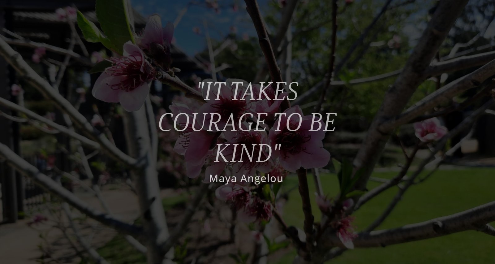 Kindness: A Double-Edged Sword