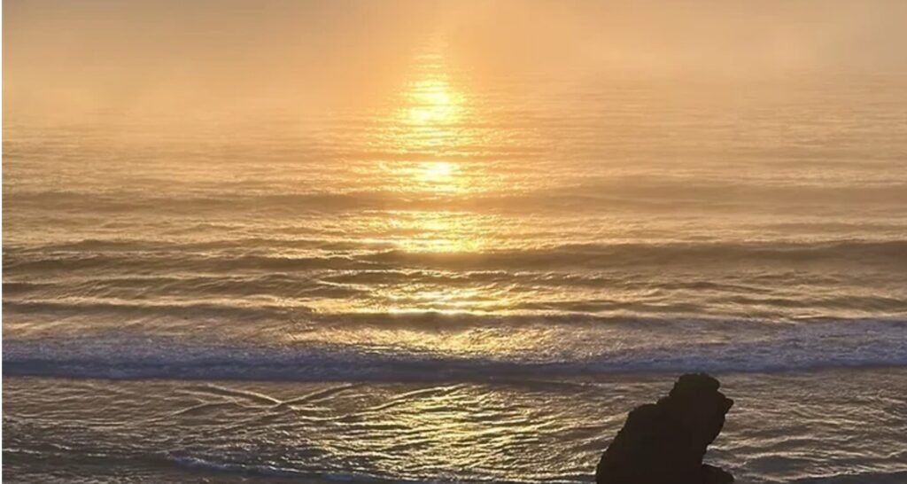 The Saddle Journey banner