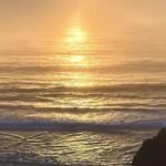 The Saddle Journey banner